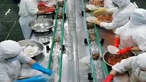 罐頭水果 健康與否，解碼食品廠的“魔法”加工過程