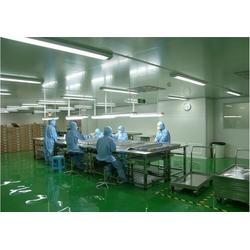 道滘偉一食品廠千級無塵車間凈化室 守護(hù)食品安全的潔凈堡壘