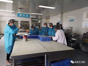 隴南生活網(wǎng)團(tuán)隊(duì)走進(jìn)成縣優(yōu)點(diǎn)食品廠，探索乳制品背后的匠心與創(chuàng)新